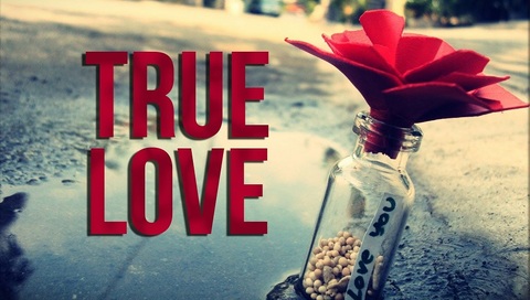 The 5 Things You Need to Do to Finally Find True Love